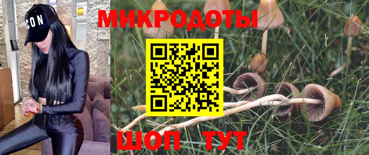 Курск  Псилоцибиновые грибы Psilocybine cubensis  Вход с VPN 