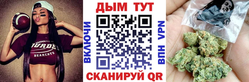 MEGA ONION  Курск  Каннабис тримм  где найти  